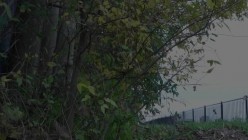 预览图10