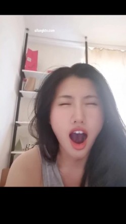 预览图13