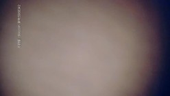 预览图13