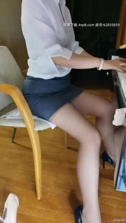 预览图3