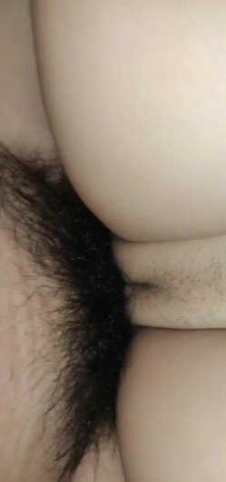 预览图12