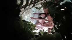 预览图9
