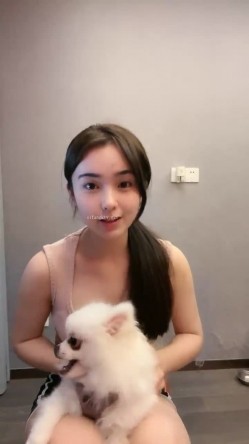 预览图3