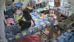 预览图6