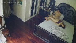 预览图8