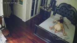 预览图9