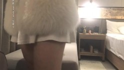 预览图4