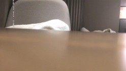 预览图11