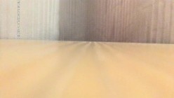 预览图15