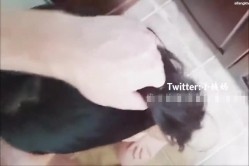 预览图13