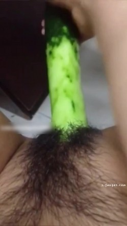 预览图4