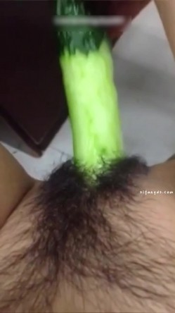 预览图7