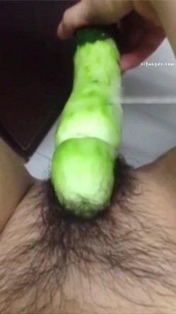 预览图13
