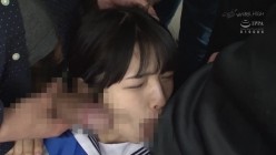 预览图14
