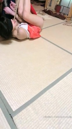预览图1