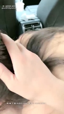 预览图14