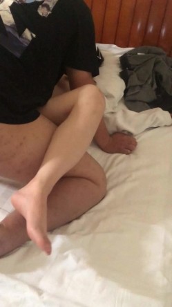 预览图4