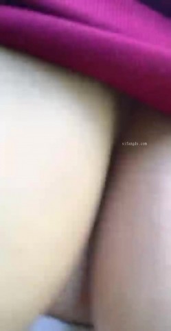 预览图5