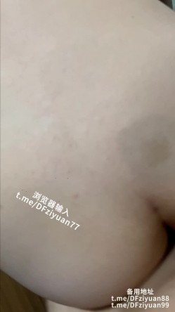 预览图14