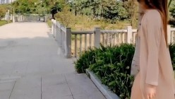 预览图4