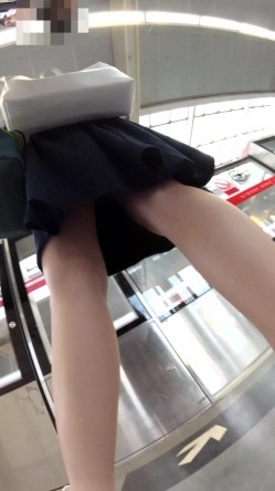 预览图12