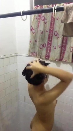 预览图15