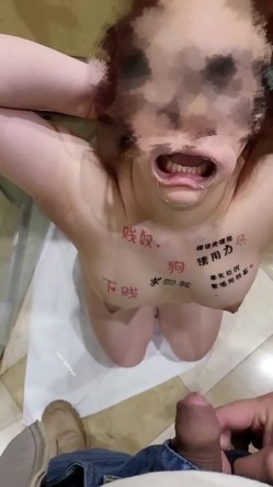 预览图1