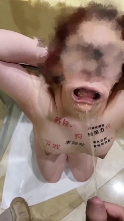 预览图2