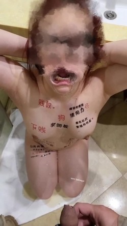 预览图8