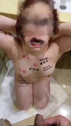 预览图9
