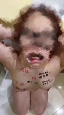 预览图14