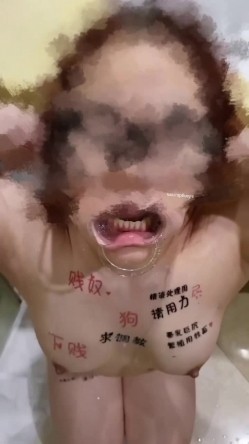 预览图15