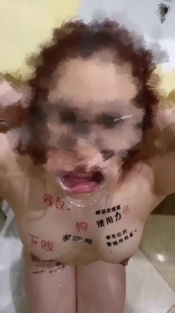 预览图16