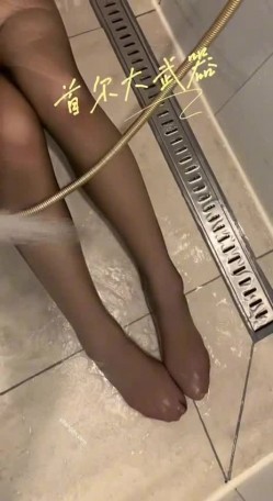 预览图8