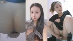 预览图12