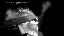 预览图3