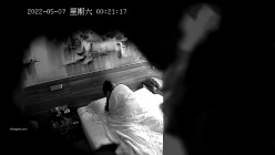 预览图4