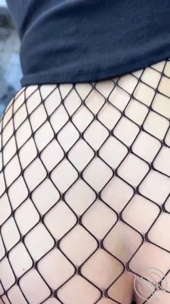 预览图6