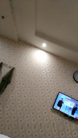 预览图14