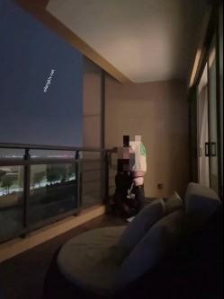 预览图14