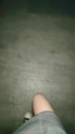 预览图6
