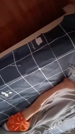预览图4