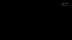 预览图5