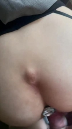 预览图5
