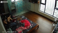 预览图3
