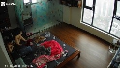预览图5