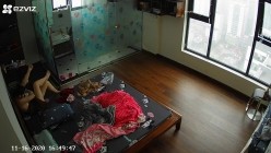 预览图6