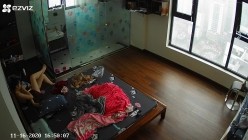 预览图8
