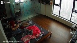 预览图13
