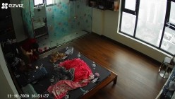 预览图16